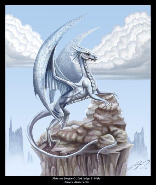 Modrý drak 5.
